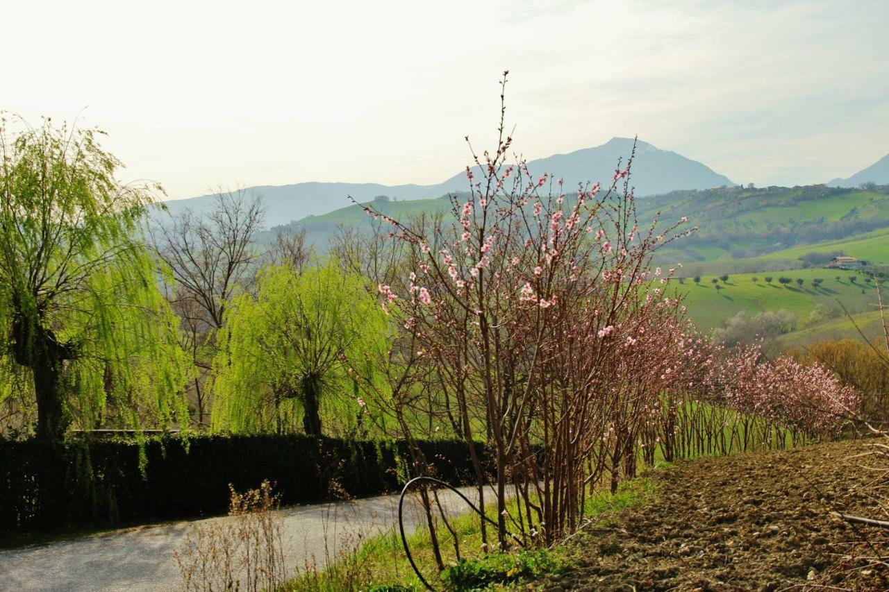 Casa Di Campagna Villa De Luca Bellante Eksteriør bilde